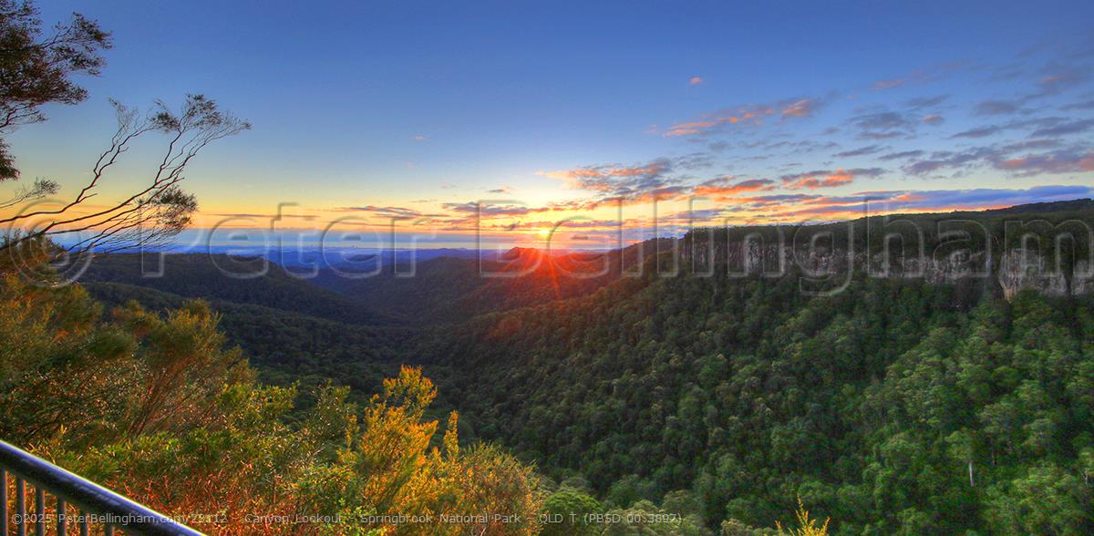 Peter Bellingham Photography Canyon Lookout - Springbrook National Park - QLD T (PB5D 00 3897)